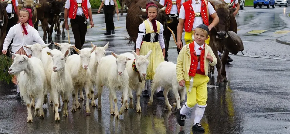 Sprachen in der Schweiz