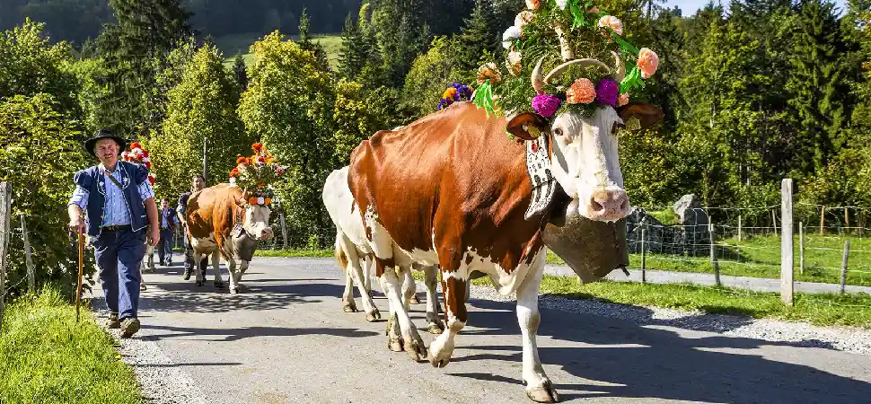 Kleidung in der Schweiz