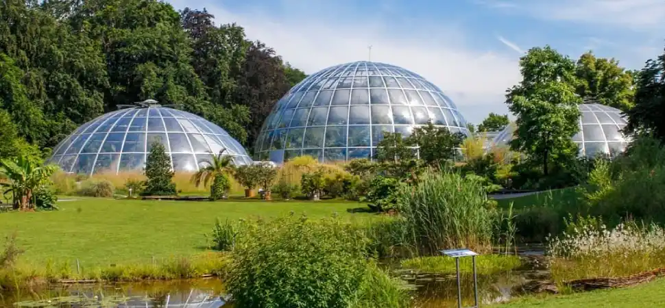 Botanical Garden of the University of Zurich