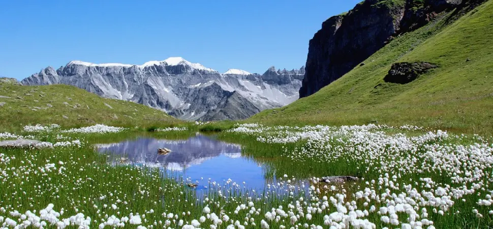 Budget Holidays in Switzerland